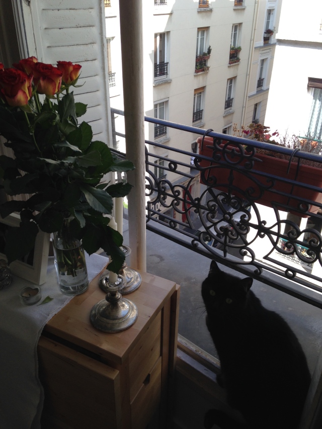 Nova the cat relaxing by the open window in our apartment, next to the roses A got me for International Women's Day